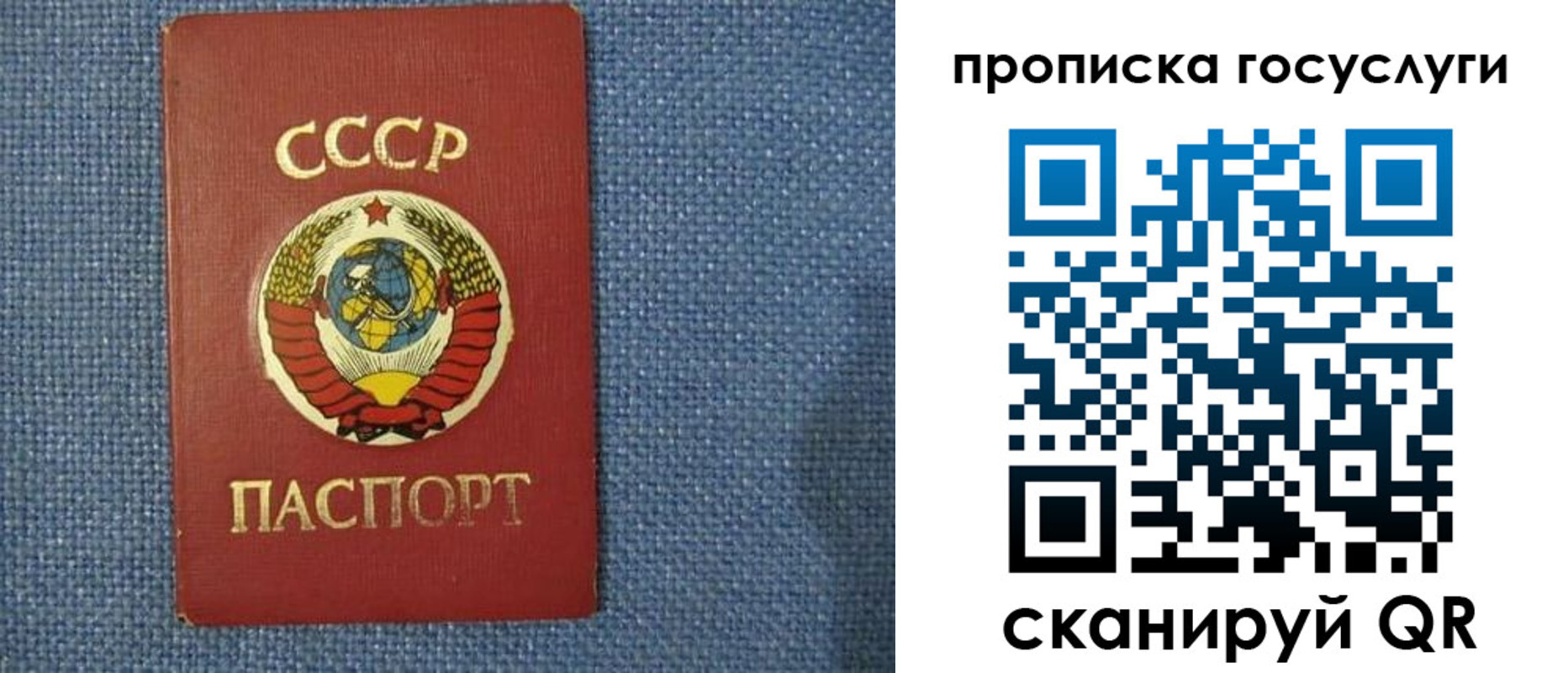 прописка ребенка в Каменск-Шахтинском
